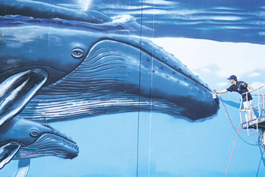 Marine Life Art Wyland creates one of his global life size murals in support of ocean health. Wyland's non profit foundation inspires millions of people through art, science, and volunteerism to support a healthier future for our ocean and waterways.