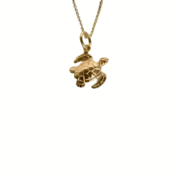 gold sea turtle jewelry