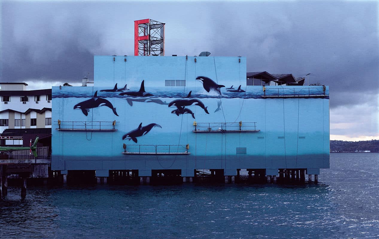 Seattle Wyland Whaling Wall #5 “The Orcas of Puget Sound”