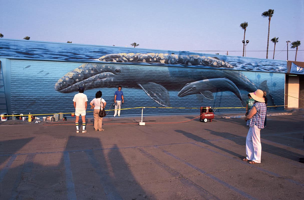 Del Mar Wyland Whaling Wall #7 “California Gray Whales”