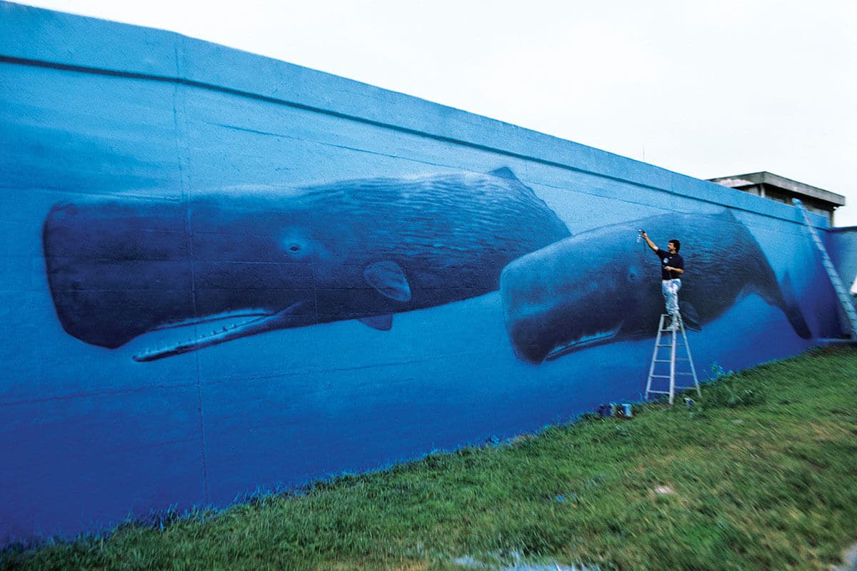 Funabashi Wyland Whaling Wall #14 “Sperm Whales”