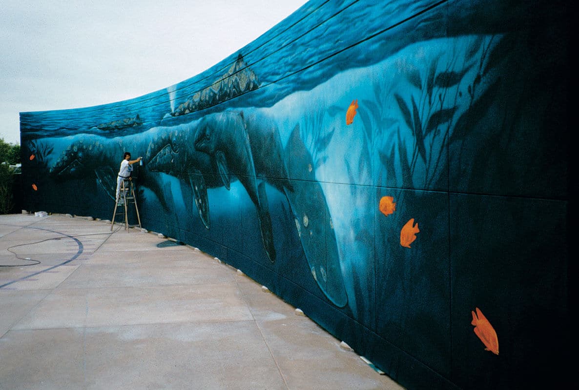 San Diego Wyland Whaling Wall #20 “Gray Whale Migration”