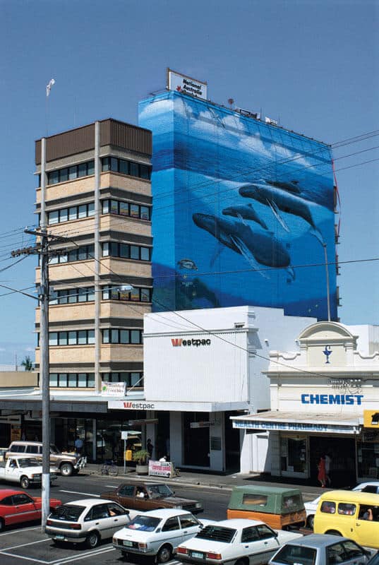 Bundaberg Wyland Whaling Wall #23 “Bundaberg Humpback Family”