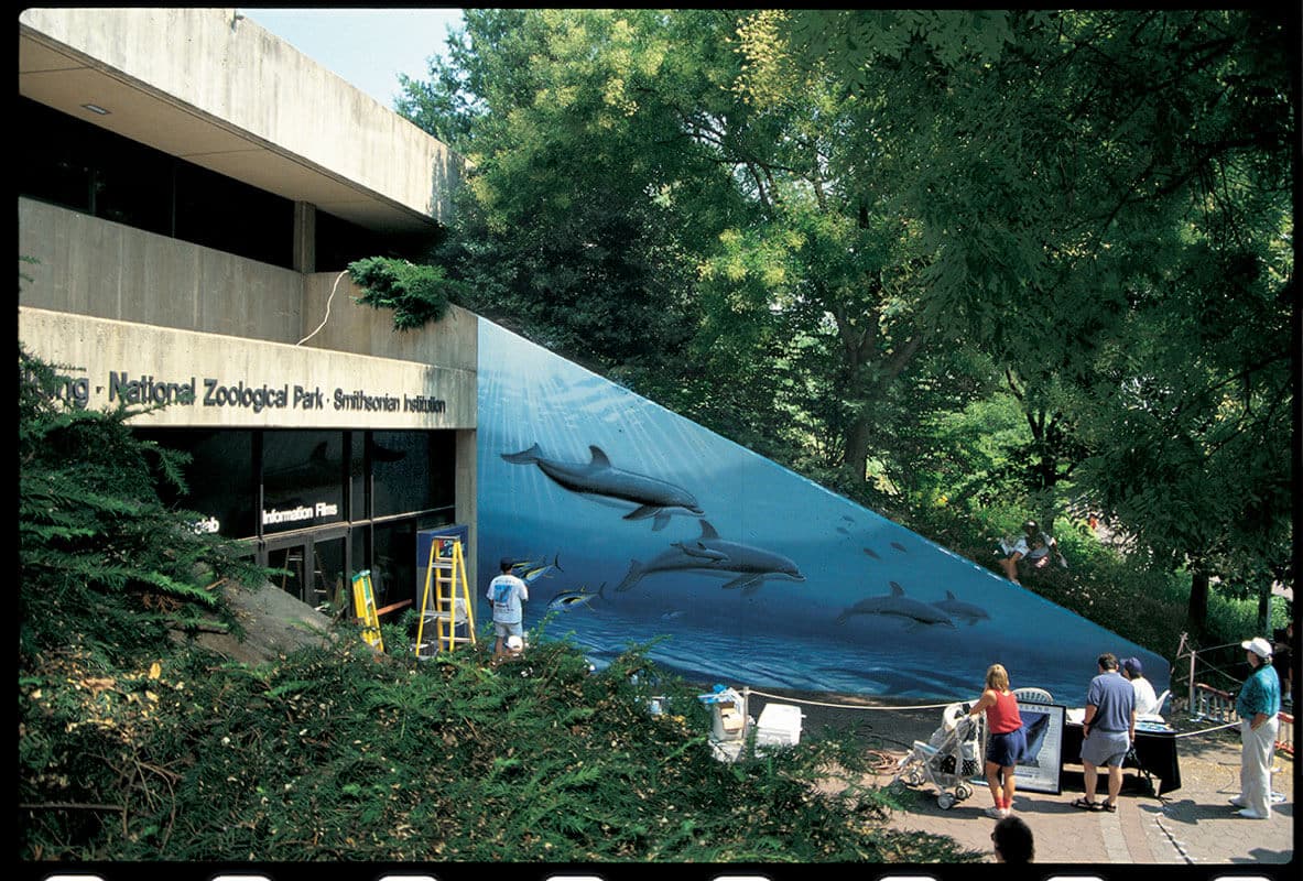 Washington, D.C. Wyland Whaling Wall #45 “Dolphins-Small Tooth Whales”