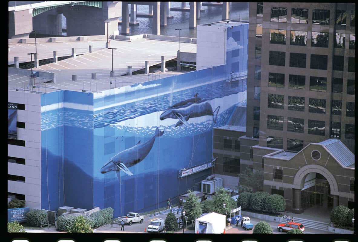 Norfolk, Virginia Wyland Whaling Wall #47 “Humpbacks off the Virginia Coast”