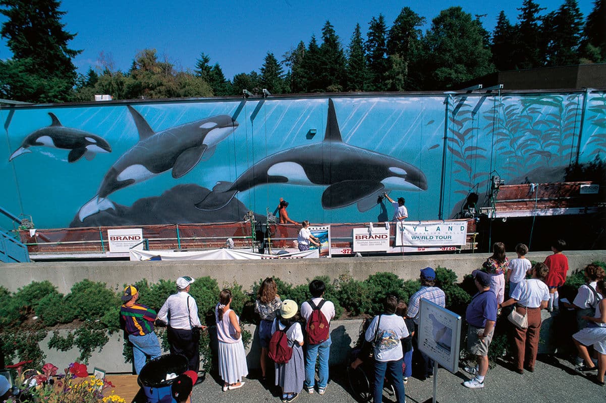 Vancouver, British Columbia, Canada Wyland Whaling Wall #55 “Orcas A-30 Subpod”