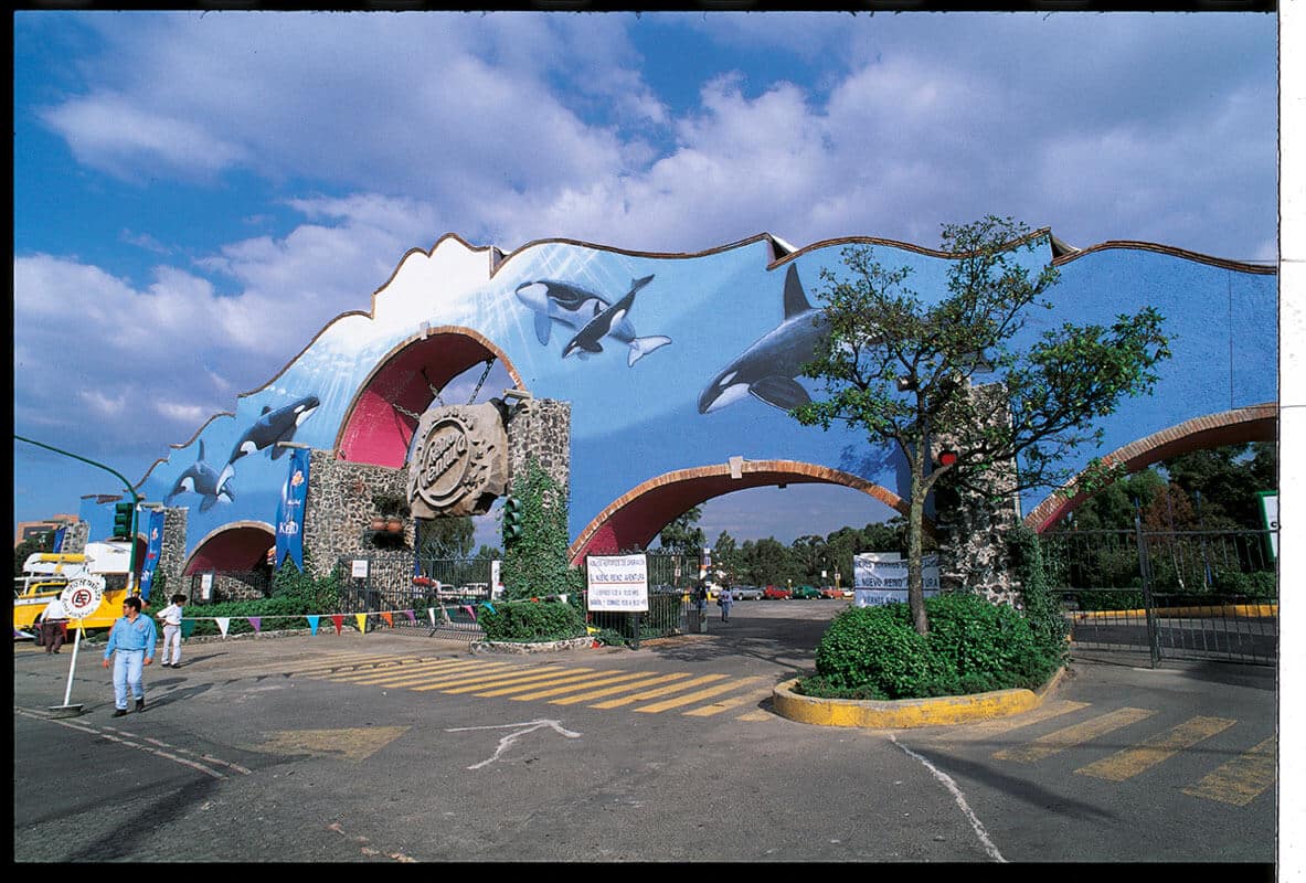 Mexico City, Mexico Wyland Whaling Wall #66 “Free Keiko”