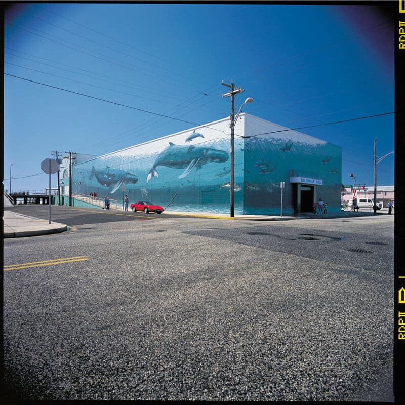 Wildwood Wyland Whaling Wall #43 “Humpbacks off the Jersey Coast”