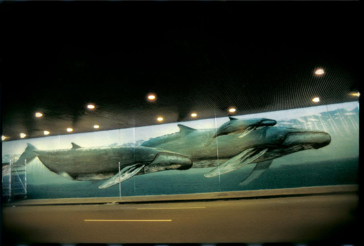 New York City Wyland Whaling Wall #40 “Inner City Whales”