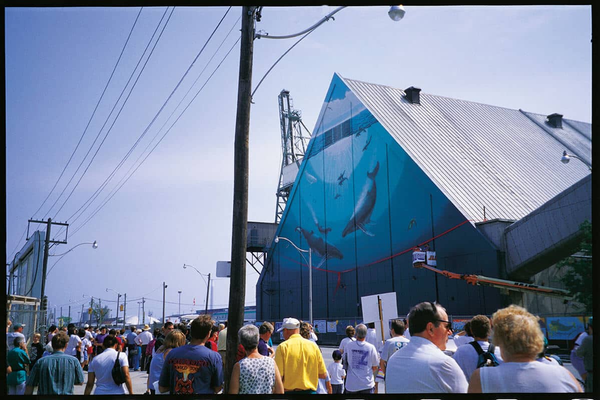 Toronto, Ontario, Canada Wyland Whaling Wall #70 “Heavenly Waters”