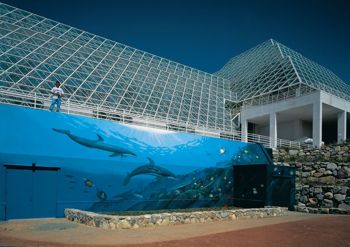 Oracle Wyland Whaling Wall #34 “Ocean Biosphere”