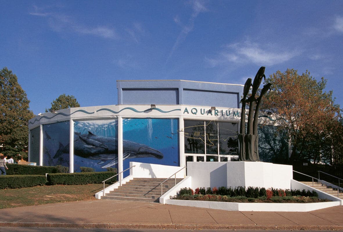 Niagara Falls, New York Wyland Whaling Wall #81 “Atlantic Humpback Whales”