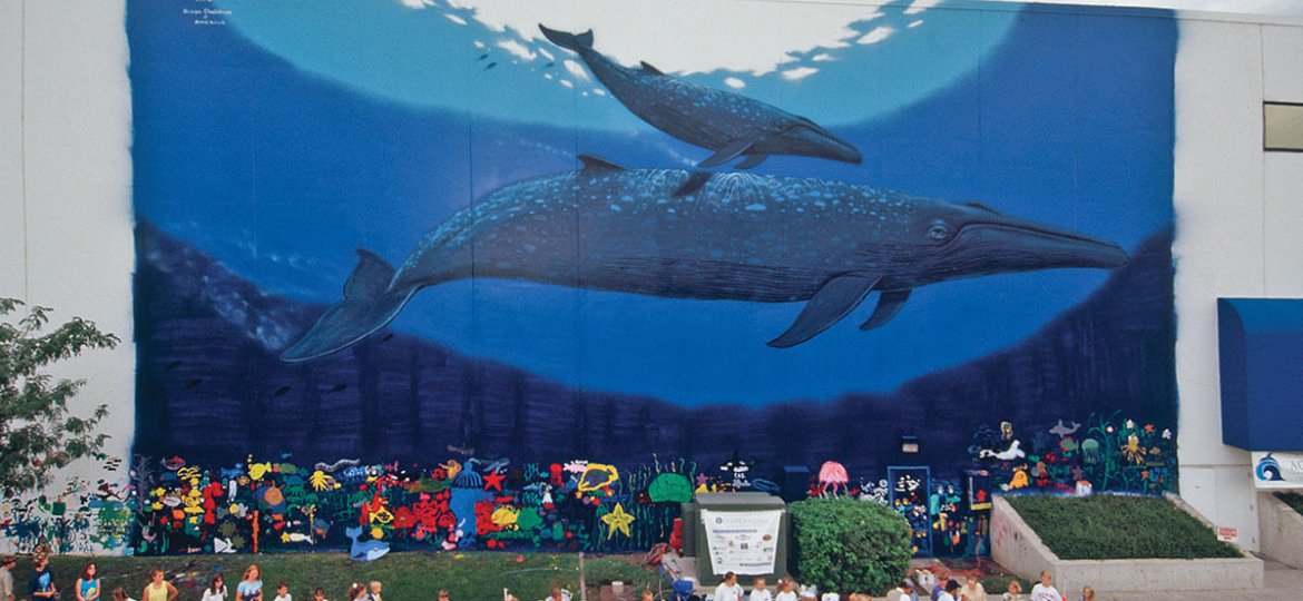 Wyland whales ocean sea life Wall border 5 yds new sealed 