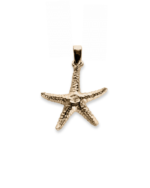 Sea Star Pendant