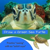 Draw a Green Sea Turtle – using your ‘Artist’s Eye’ – FREE Download!