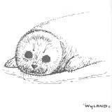 Harp Seal Pup – Practice shading white subjects – FREE Download!