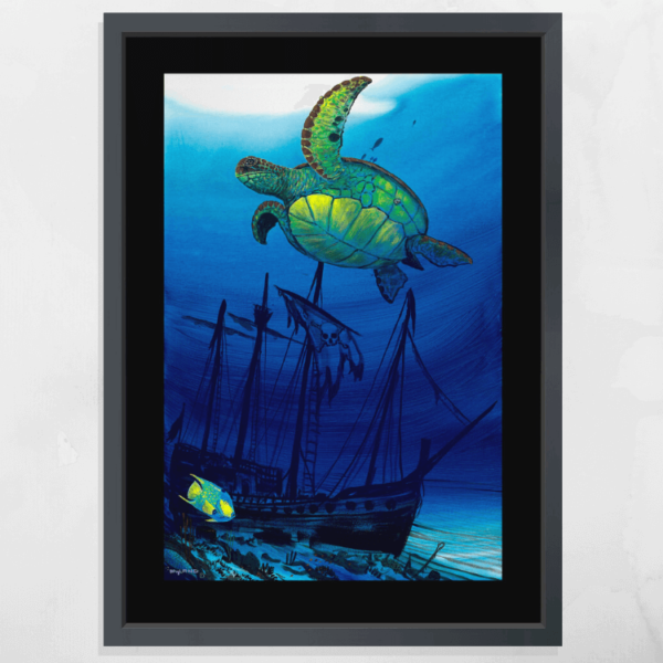 Sea Turtle Shipwreck for item page