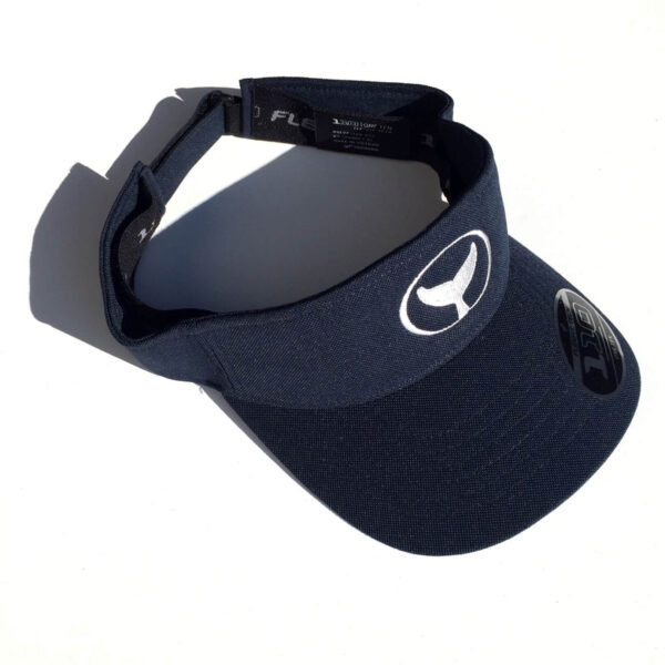 WT Visor-navy_main