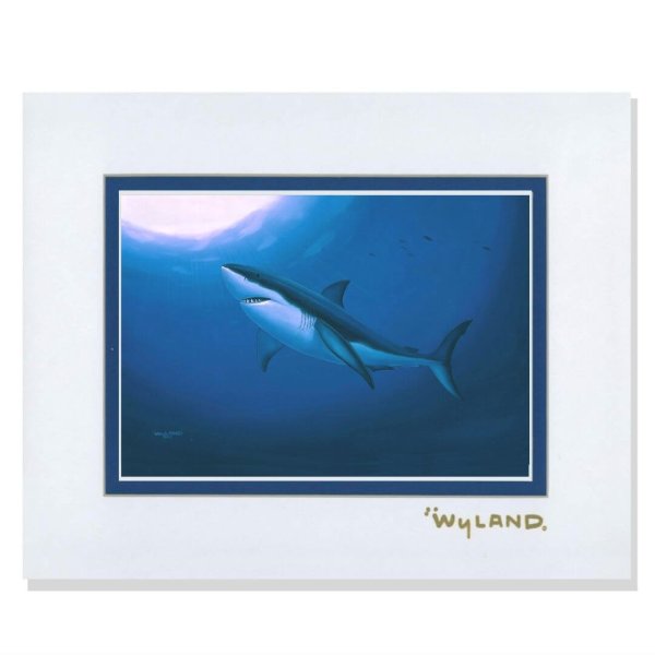 Wyland Art Shark