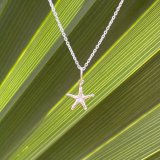 Sterling Silver Mini Sea Star Necklace
