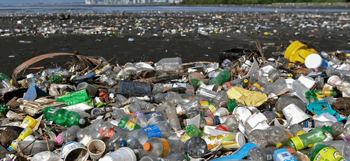 coastal plastic debris - Screen Shot 2021-08-04 at 3.30.00 PM