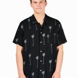 palm tree shirt