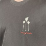 Wyland’s Signature 3 Palm Trees Screened T-Shirt – Coal