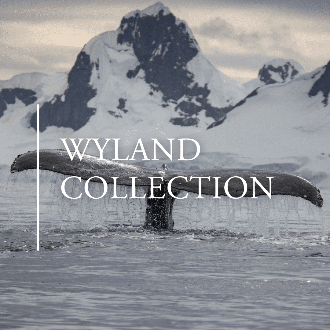 Wyland Collection