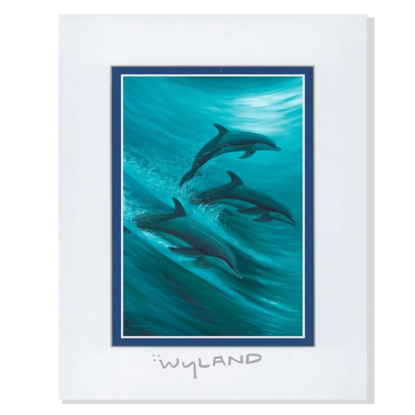 Wyland Dolphin Art