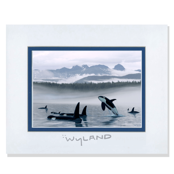 Wyland Art Orca Family