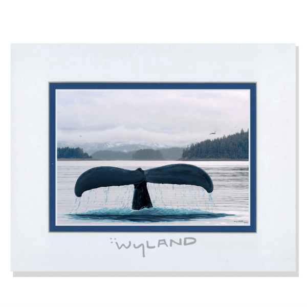 Wyland Art Whale Tail