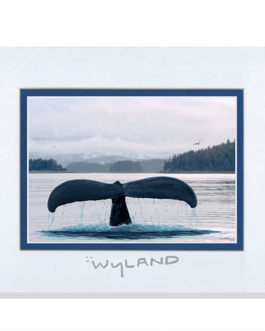 Wyland Art Whale Tail