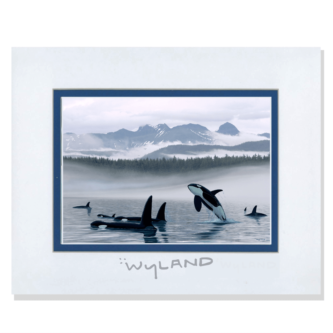 Misty Orca Waters