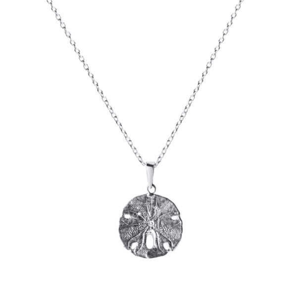 Sand dollar necklace_Back