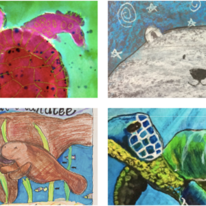 Looking for a great art contest for kids? The Wyland "Water Is Life" Art and Classroom mural contest takes place every fall with cash prizes and scholarships. Plus, it's free for all ages to enter.