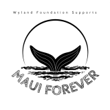 Maui Forever Support Bracelet – Delicate Stone Crystals + Bronze