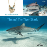Men’s Tiger Shark Tooth Necklace by Roland St John – Bronze