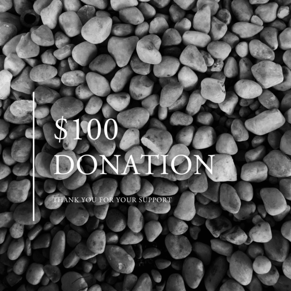 $100 DONATION - sub category to MAKE A DONATION