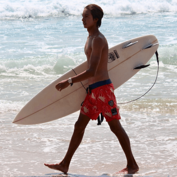 WYLAND FOUNDATION BEACH - octopus board shorts