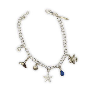 WYPAP-4445-HAL-BCCZ_ss charm bracelet with mono Wy charms and stones-main