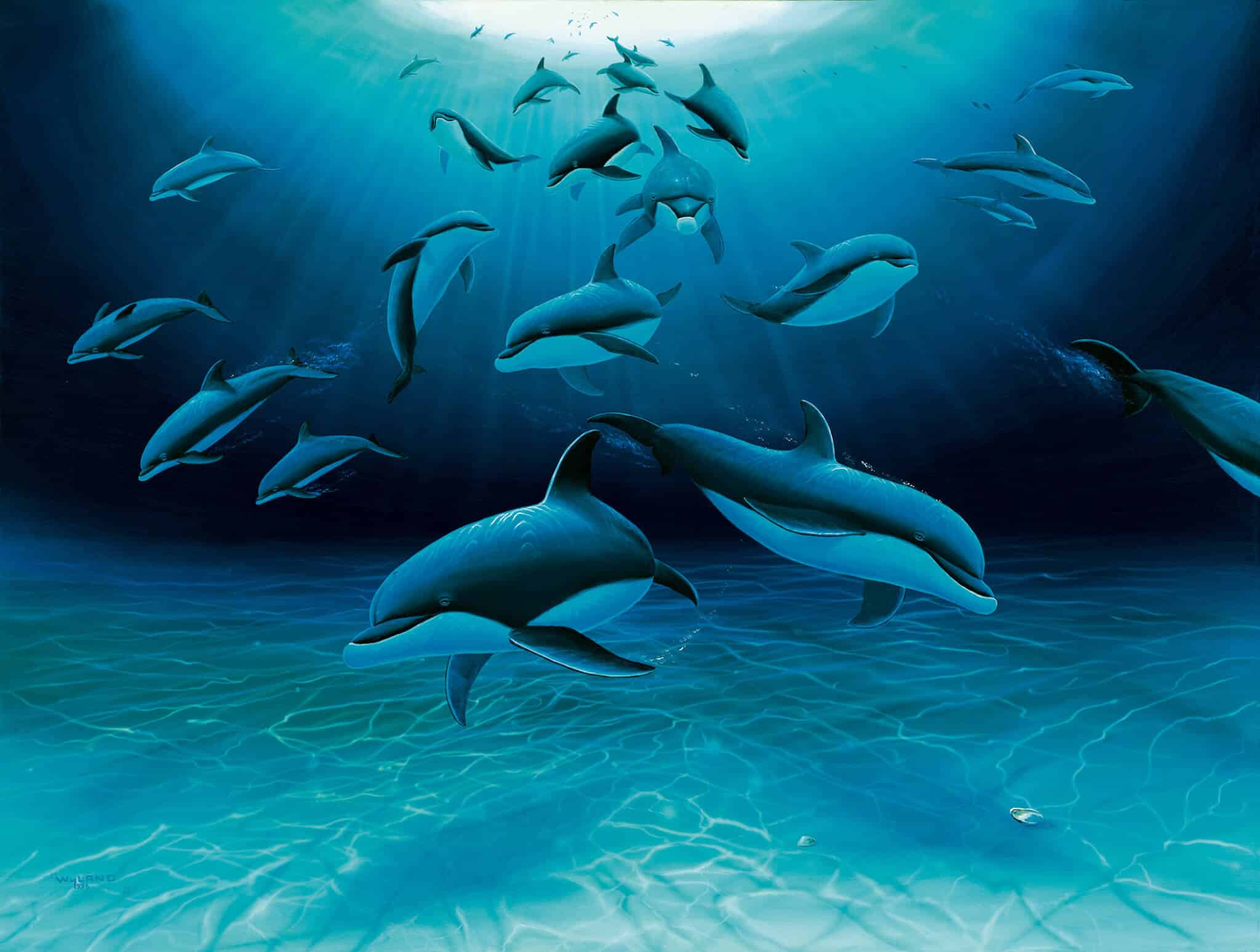 Wyland Foundation