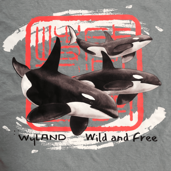 Wyland Orca T-shirt - Soft Granite Garment Dye - Image 4